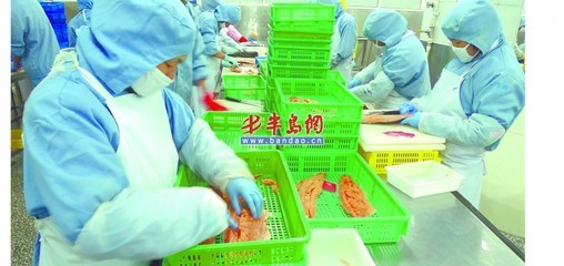 歐美需求激增，青島海產品加工企業全力以赴趕訂單